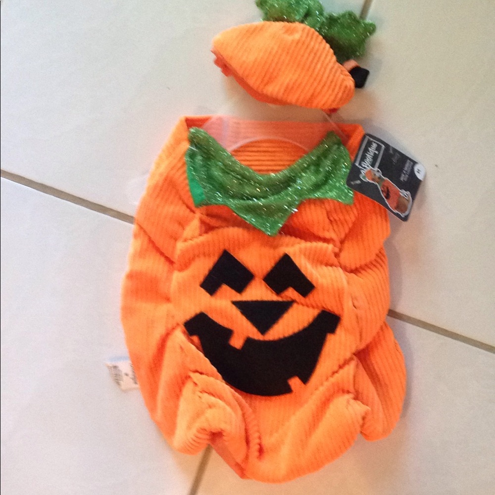 DOGS coat for Halloween